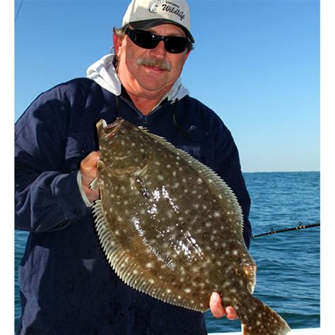 The World's Top 100 Saltwater Game Fish .